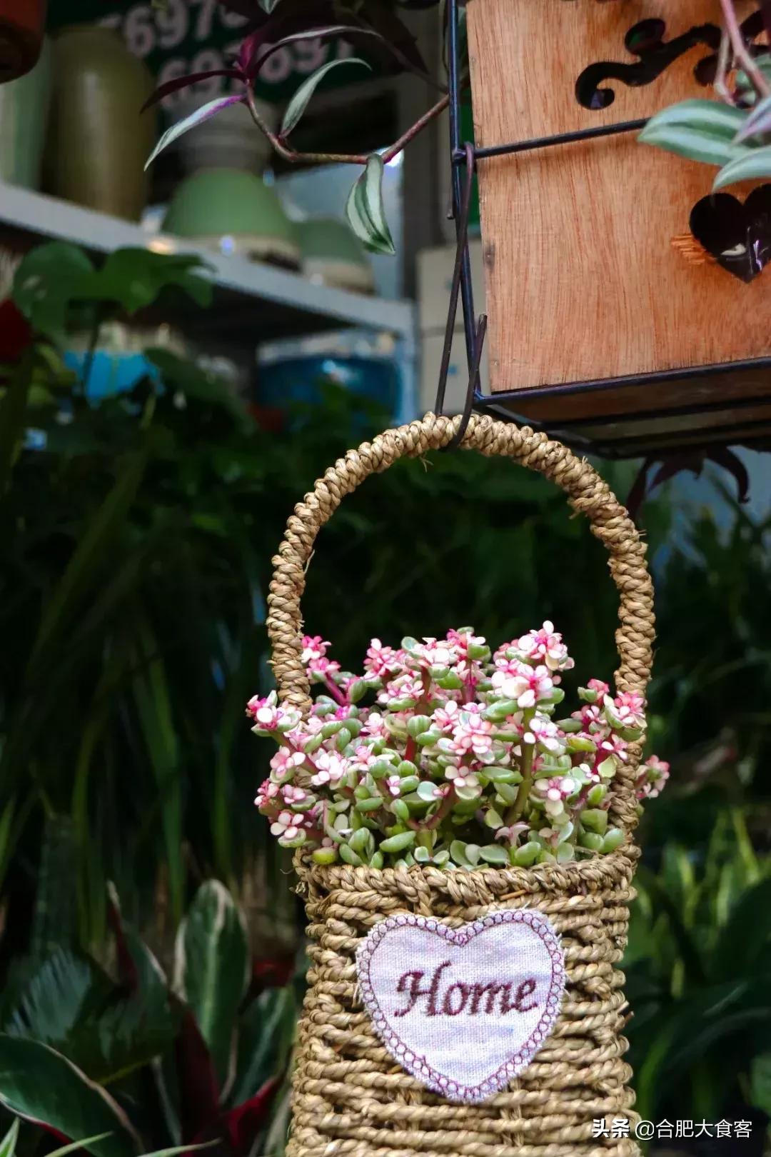 <html>
<head><title>502BadGateway</title></head>
<body>
<center><h1>502BadGateway</h1></center>
<hr><center>nginx</center>
</body>
</html>
<!--apaddingtodisableMSIEandChromefriendlyerrorpage-->
<!--apaddingtodisableMSIEandChromefriendlyerrorpage-->
<!--apaddingtodisableMSIEandChromefriendlyerrorpage-->
<!--apaddingtodisableMSIEandChromefriendlyerrorpage-->
<!--apaddingtodisableMSIEandChromefriendlyerrorpage-->
<!--apaddingtodisableMSIEandChromefriendlyerrorpage-->
