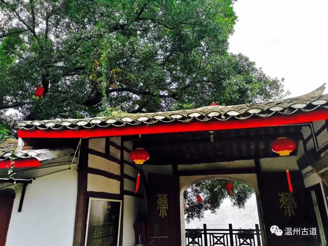 千年古村平阳县鸣山村古城夜景,平阳昆阳鸣山古村落