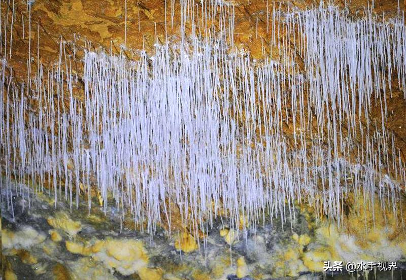 长寿之乡巴马，转型生态旅游，那些景区值得去吗