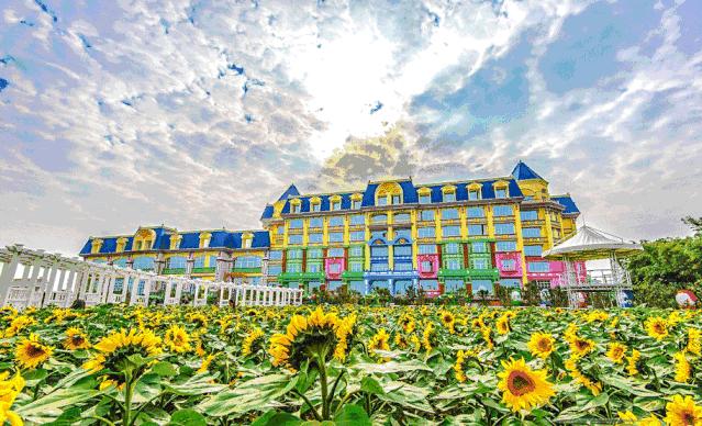 办什么卡旅游免费,厦门旅游年卡免费政策