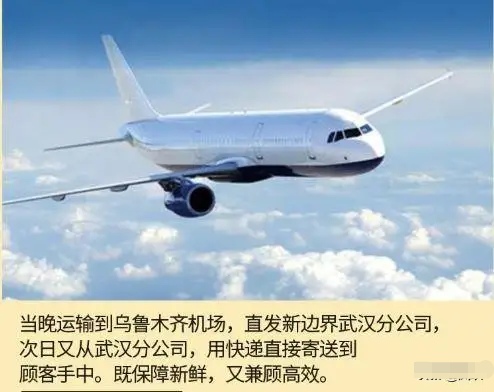 俄罗斯大列巴西域,真正俄罗斯大列巴