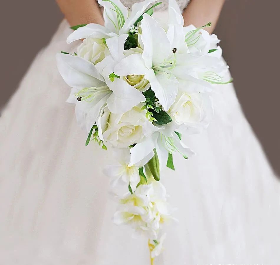 秋日赏花,百合必须要拥有姓名