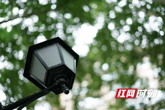 益阳特别辣的特色菜,益阳好吃辣的东西