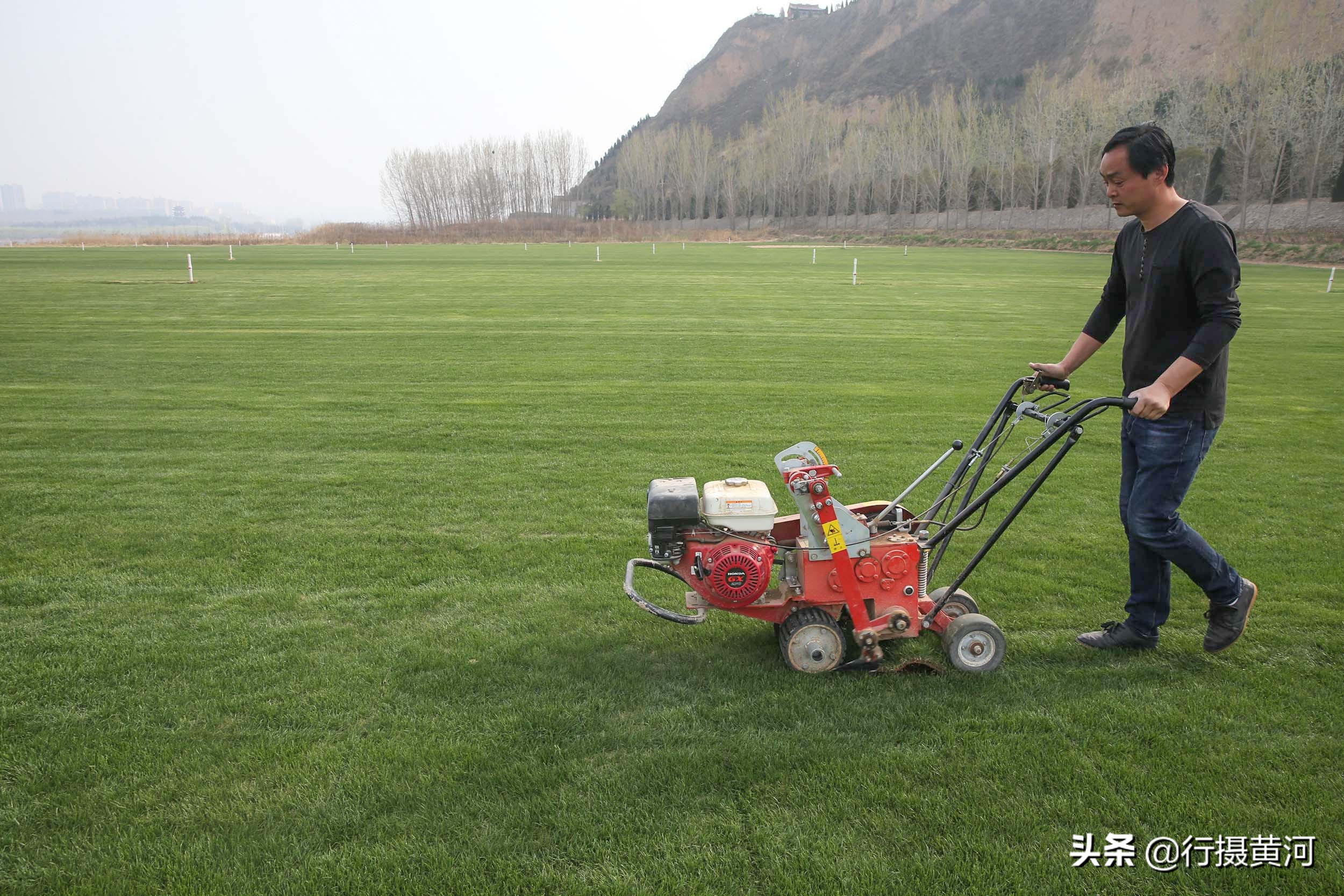 河南一小伙不务正业,小伙不务正业就想卖房卖地
