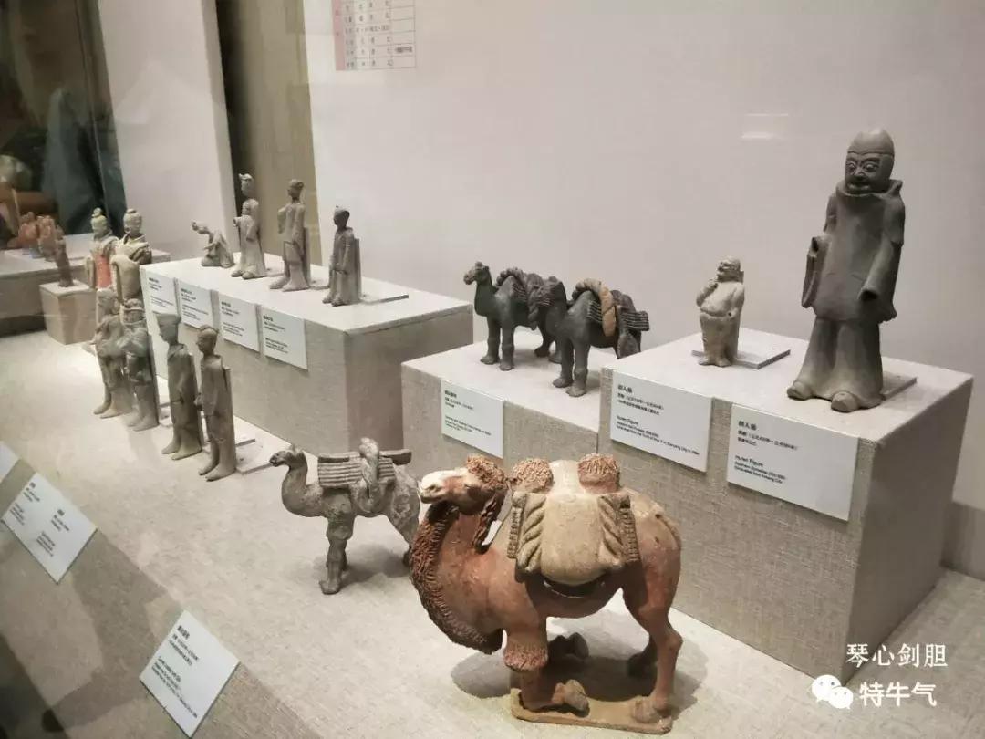 赤金走龙陕西历史博物馆,陕西历史博物馆抢票攻略