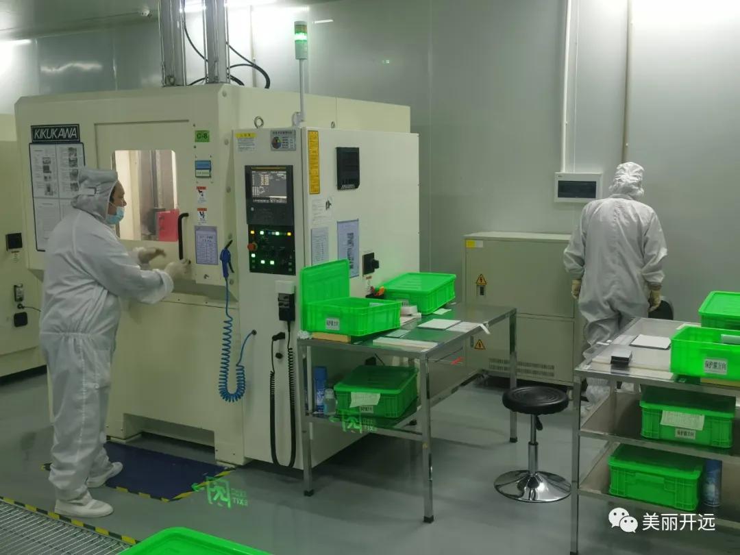 开远金凤凰,开远凤凰腾飞