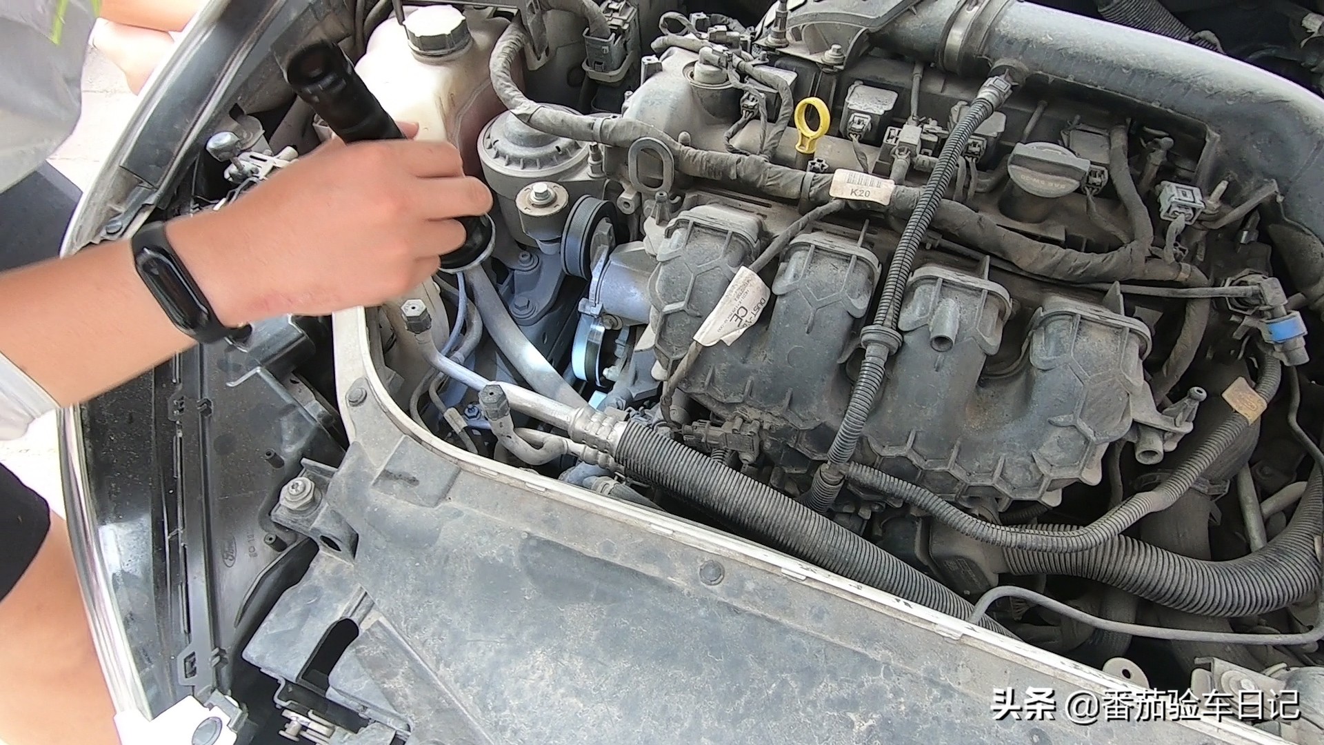 15骞磋挋杩杞﹀晢鏀跺埌鎵嬮噷鑳藉崠澶氬皯,杞﹀晢鐪间腑鐨勮挋杩鑷磋儨