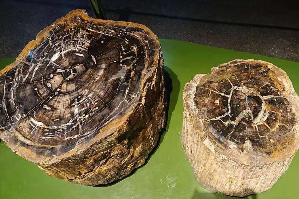 北疆博物馆历史,北疆博物馆最早建立的时间