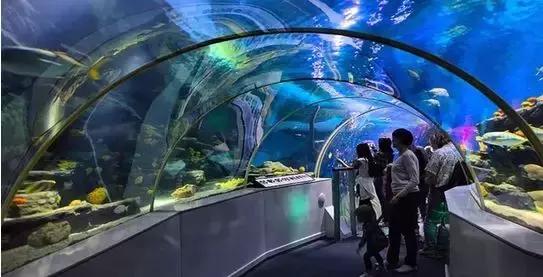 布莱顿海湾景点,布莱顿曼彻斯特城