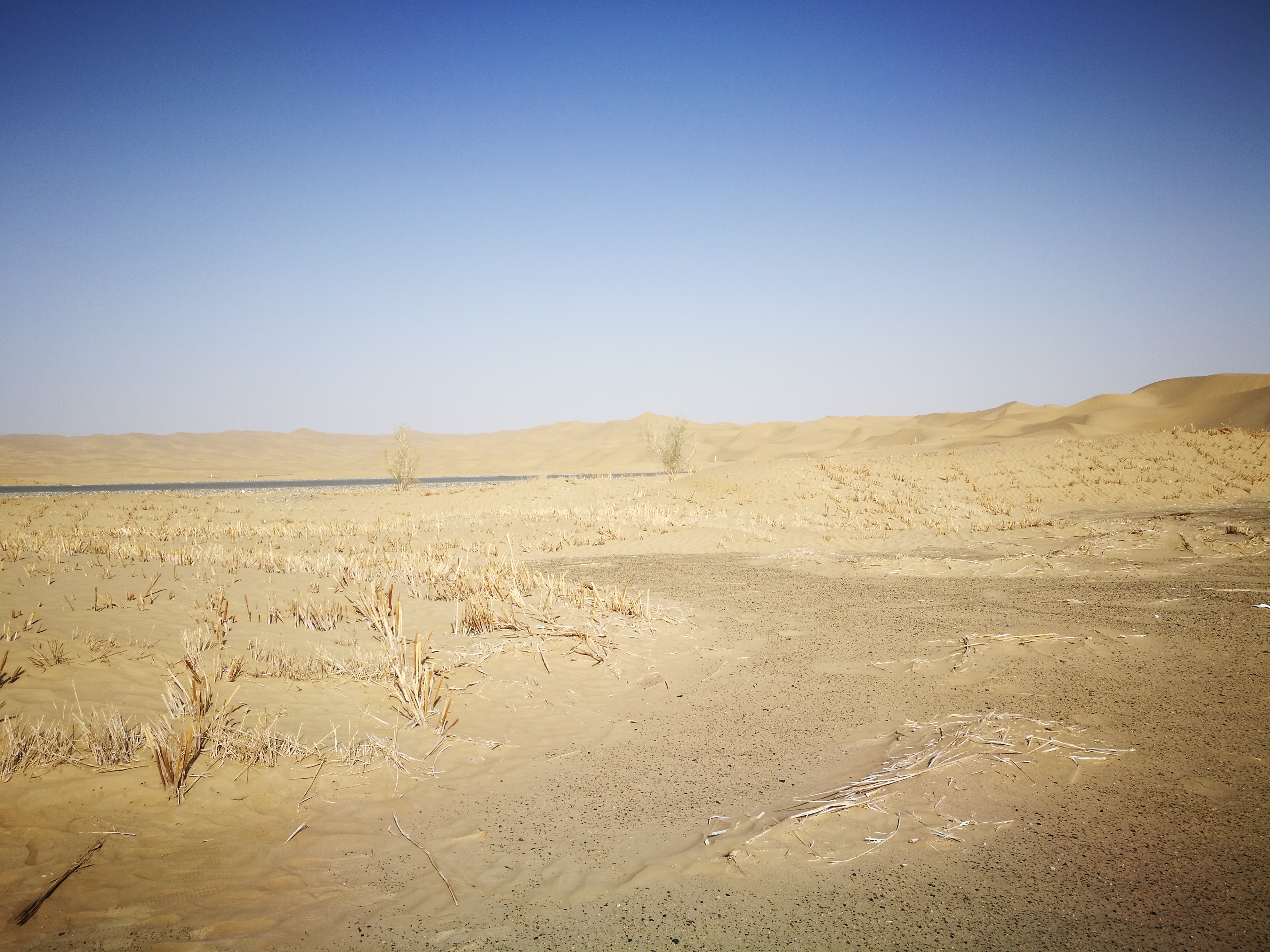 13000公里新手独驾*疆新**第23天——穿越塔克拉玛干沙漠，遭遇陷车