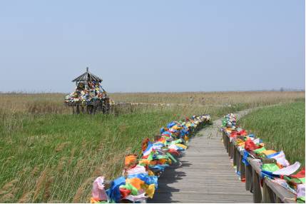 营口网红世外桃源,辽宁哪有世外桃源