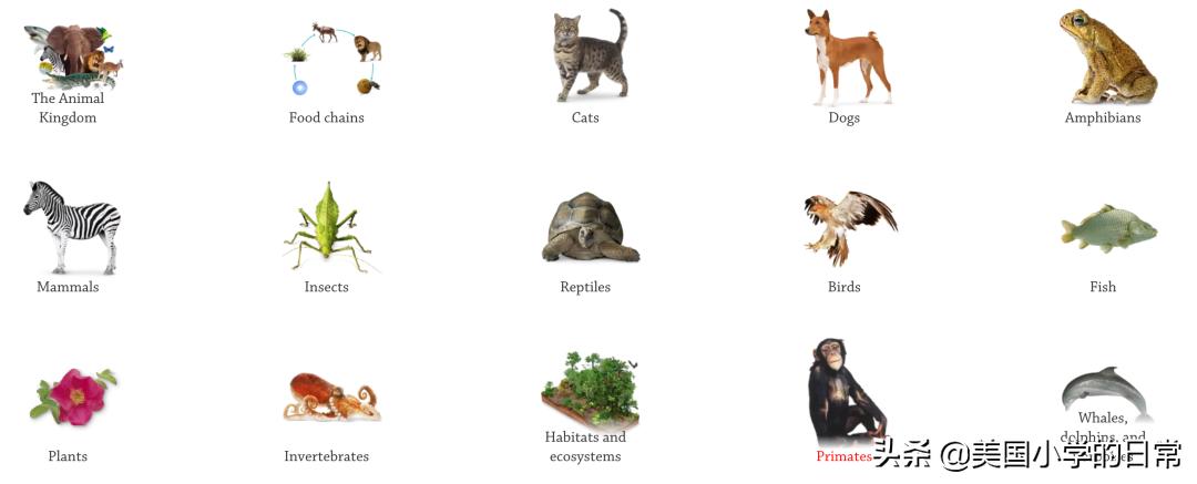 可以科普各类知识的免费app,有哪些免费的知识平台