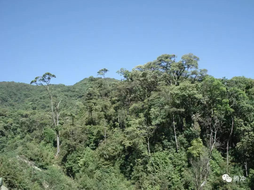 云南腾冲景区图片,云南腾冲山清水秀好风光