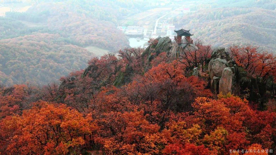 林业生态旅游科普,林草科普