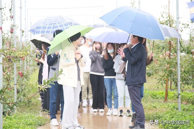 农村金融再迎技术突破！网商银行卫星遥感技术升级解决陕西果农*款贷**难