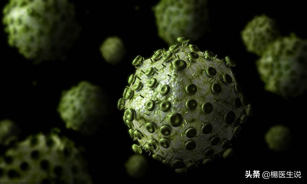 犊牛隐孢子虫性腹泻,隐孢子感染什么症状