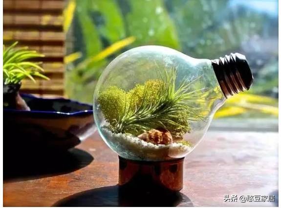 比Angelababy开眼角还可怕的事情，这里的垃圾堆成山，恶臭漫天！