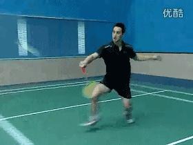 金秋诗画（学羽精华33.发力技巧）