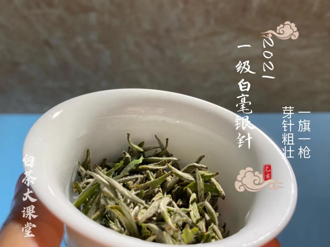 白茶的精髓就在三句话,白茶究竟是什么茶