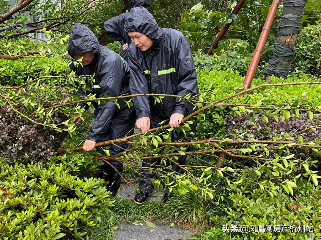 烟花过境商丘,烟花过境安庆