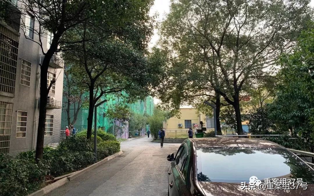 长沙9岁男孩遇害事件,长沙9岁男童遇害