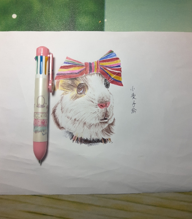 仓鼠食盆简笔画,仓鼠简笔画团子