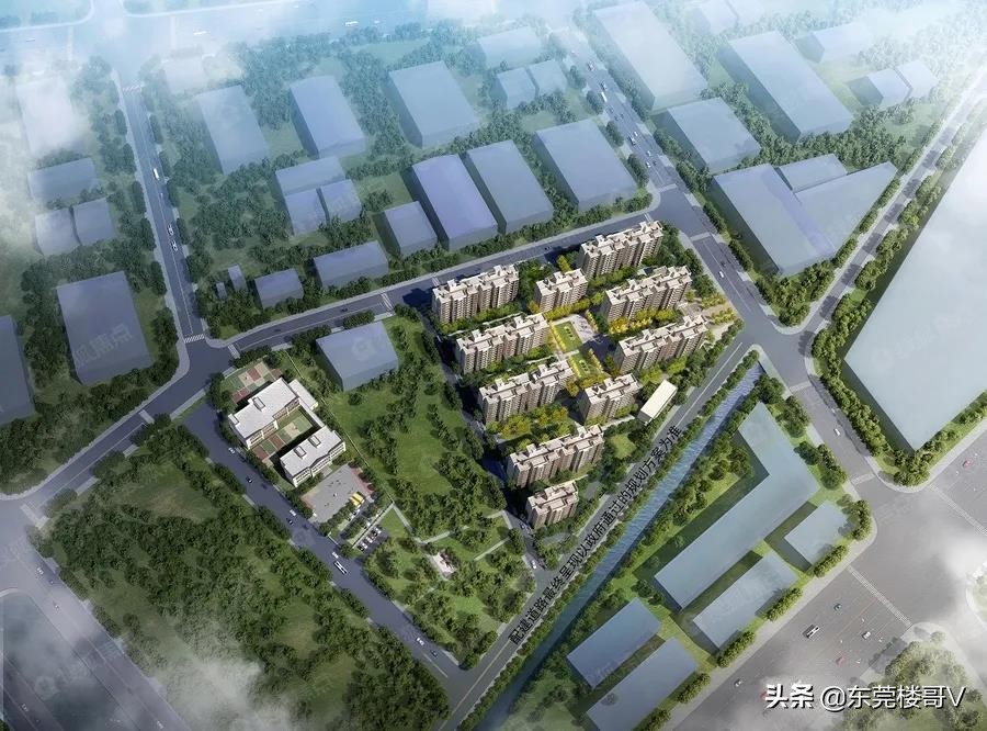 妤煎摜韪╃洏,妤煎摜韪╃洏淇濆埄澶╃考骞垮満