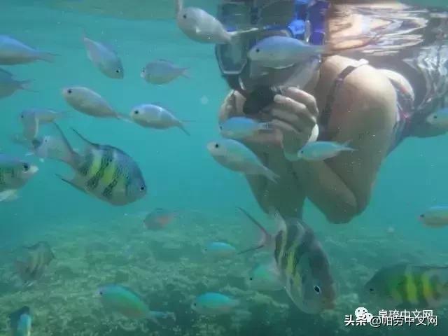 帕劳是哪个国家,帕劳群岛是哪个国家