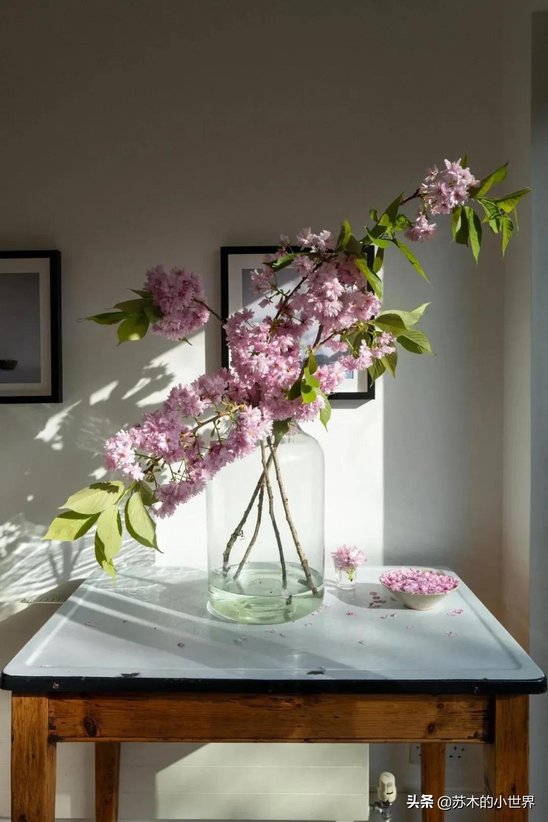 春日好物精选,春日好物清单