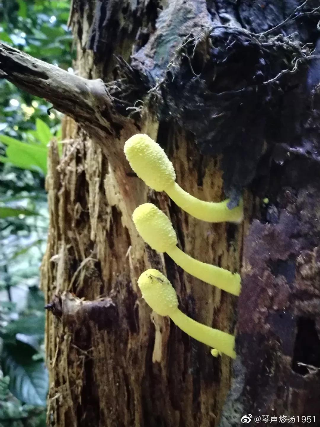 发现大自然的美的作文500字,发现大自然的美一篇作文