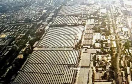 棉五老照片,棉五回忆