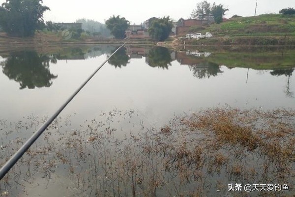 秋天野钓鲫鱼调漂最佳方法,秋天野钓鲫鱼不开口怎么办