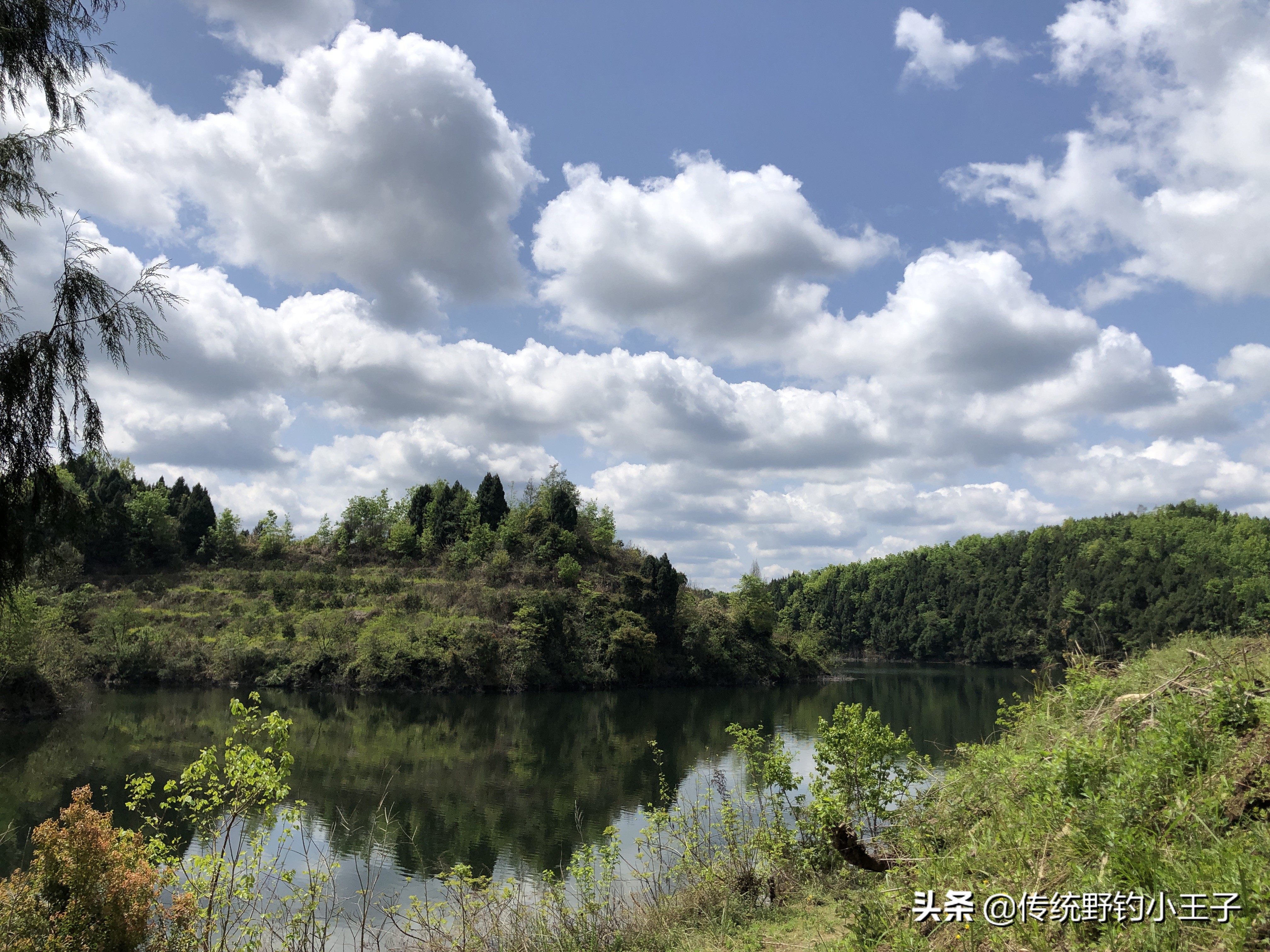 谷麦钓通线1.5和2.0对鱼口影响大吗,野钓谷麦用什么打窝比较好