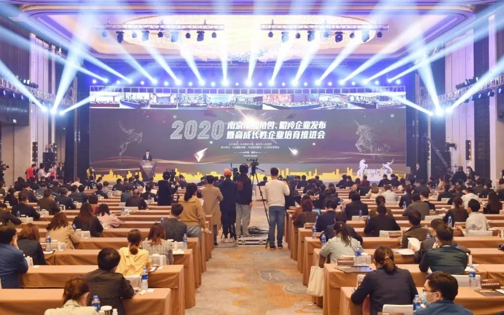 2023南京独角兽瞪羚榜单,独角兽瞪羚