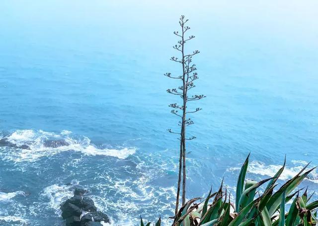 济州岛旅游值得去的地方,旅游胜地济州岛