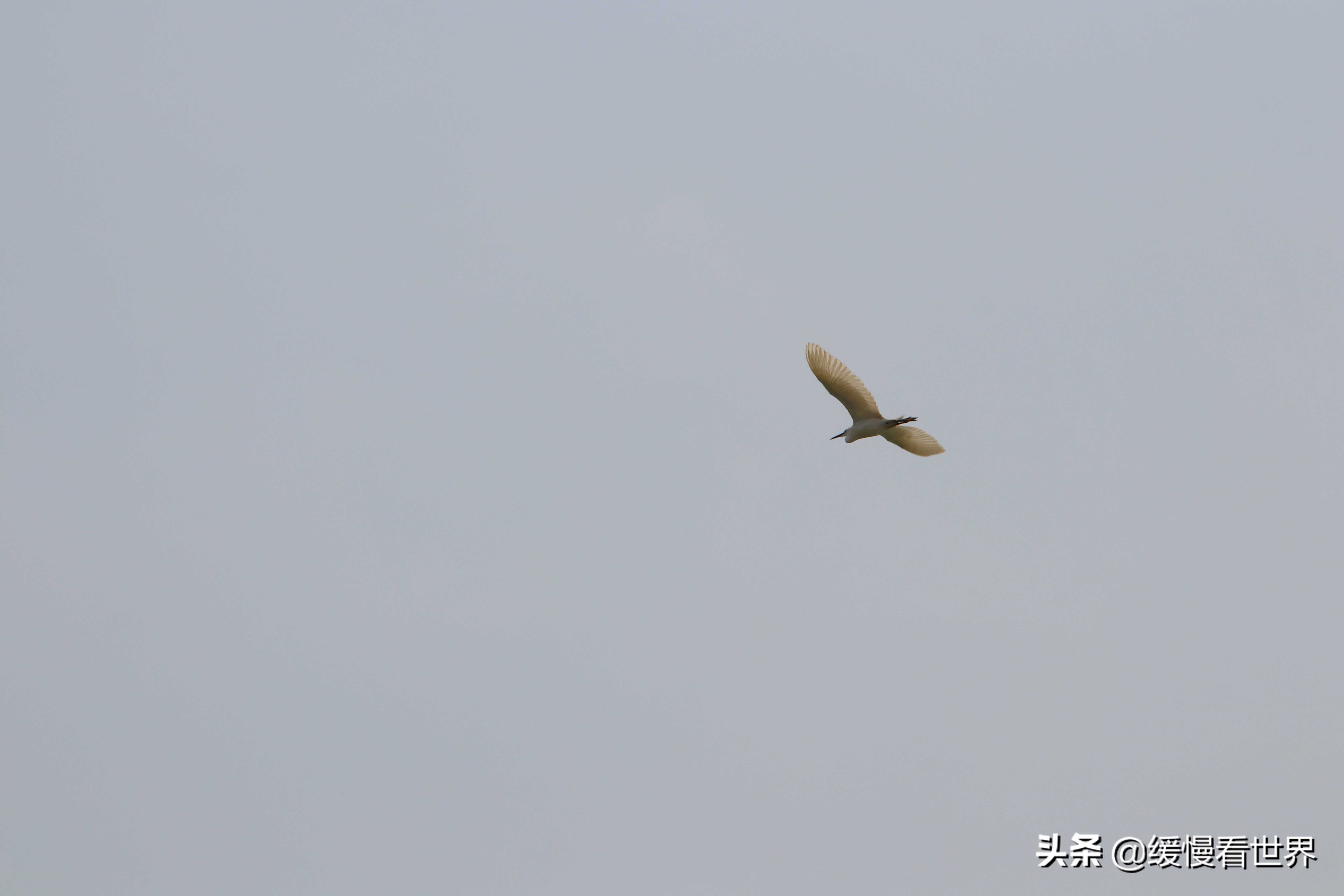 虎门威远炮台海战博物馆,虎门海战博物馆离威远炮台远吗