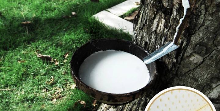 泰国乳胶枕怎么不被坑,乳胶枕有坑怎么回事