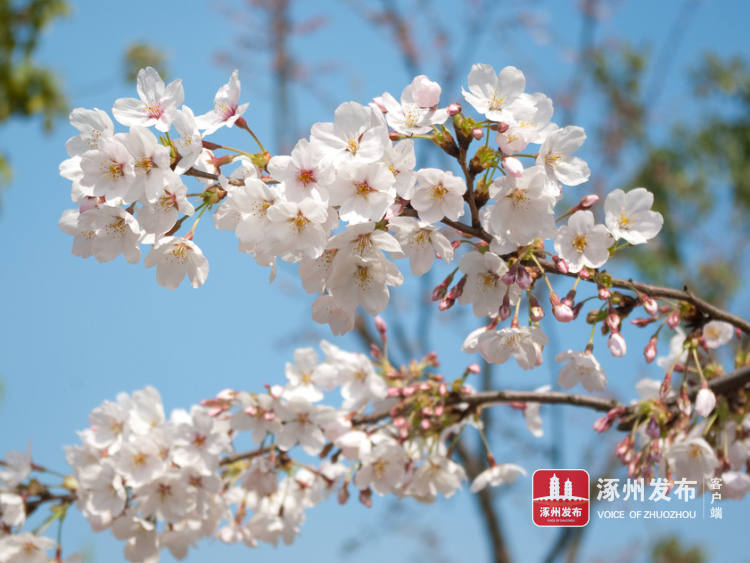 文学风长连衣裙,文学涿州