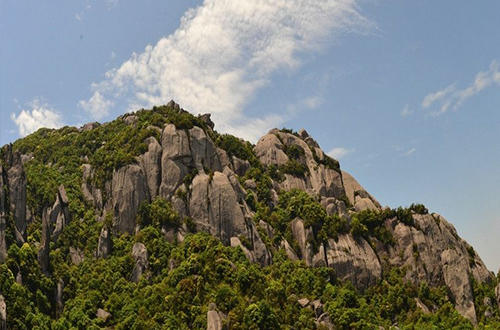 精选名茶白毫银针,白毫银针的历史起源和传说