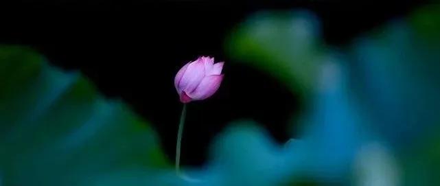 夏季祛暑吃什么养生茶好,小暑养生大全