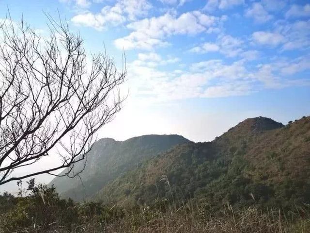 深圳爬山的好去处,深圳爬山地方推荐适合小朋友
