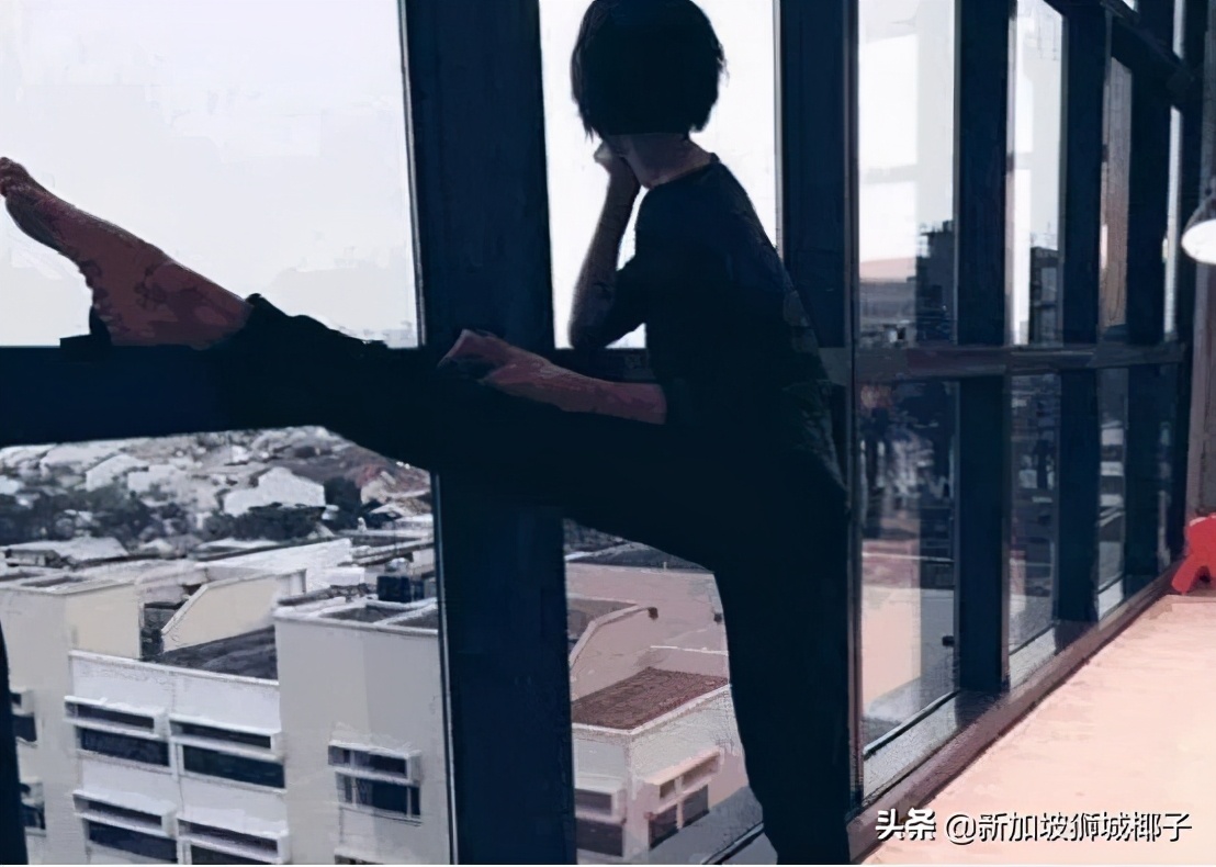 新加坡柏皓顶级豪宅户型图,新加坡乌节路豪宅铂瑞雅居