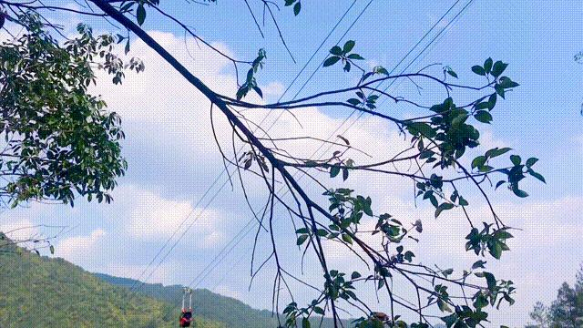 天门高空漂流玻璃滑道,高空玻璃天桥景点大全