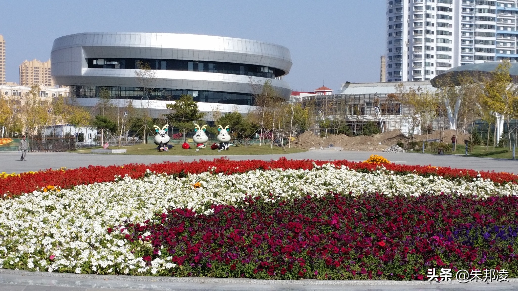 巨亏43亿！哈尔滨名校上市公司“挂羊头卖狗肉”？曾遭刘姝威炮轰