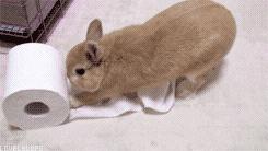 戴上了金箍就要放下七情六欲,今日萌图