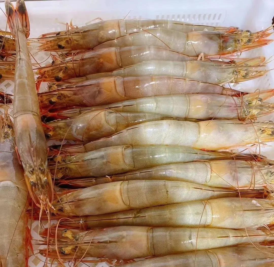 五湖四海的山东人，即便不回家，这些“山东年货”也要安排上！