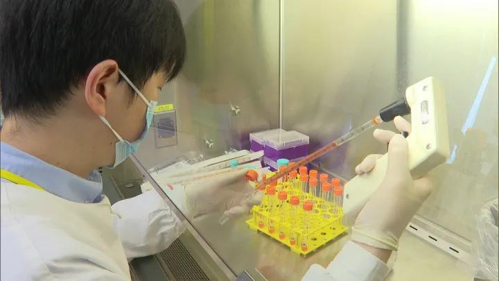 姜黄真的有减肥效果吗,姜黄和黄姜哪种是减肥的