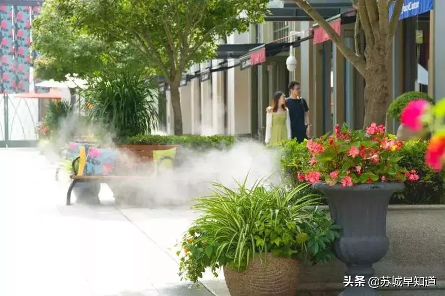 SW不到一千块入手？石榴婆苏州奕欧来行大揭秘