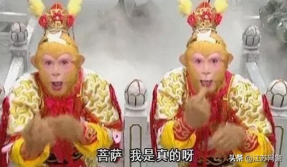 镇江造假案,镇江查出假货