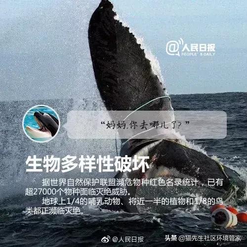 疯狂的裸体彩绘|这世间事十有八九都与垃圾分类有关